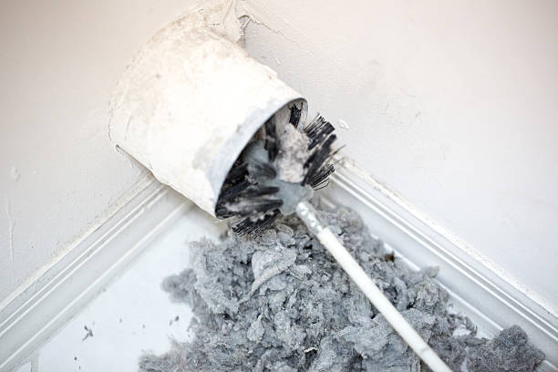 Best Duct Cleaning Specialists  in USA